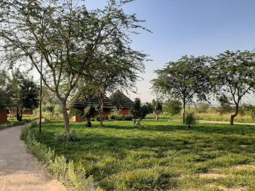 Apkārtne, Tangi Safari Lodge in Paraa