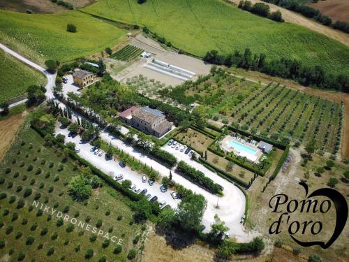 Agriturismo Pomod’oro - Hotel - Torre San Patrizio