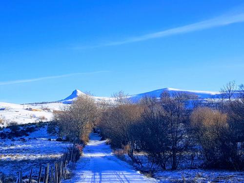 Terre d'Horizon Auvergne