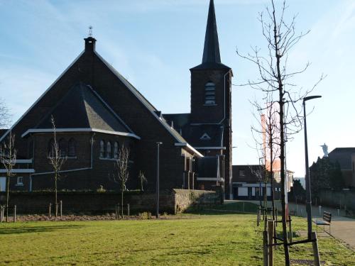De Konik - image 2