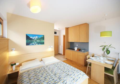 Studio with Balcony or Terrace