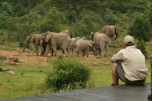 Makweti Safari Lodge