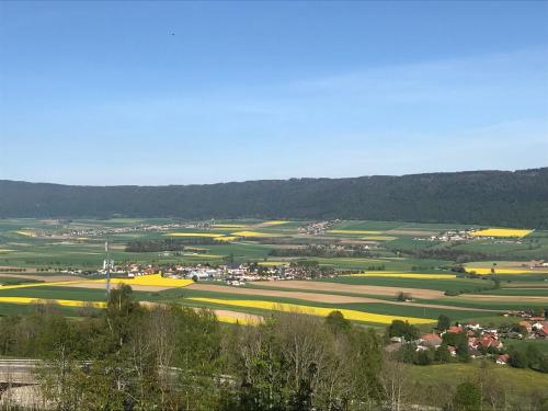 Le Manoir de l'Oseliere & Spa