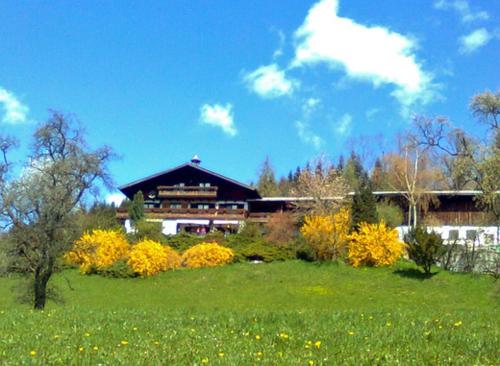  Biohof Schwanser, Pension in Steinbach am Attersee bei Buchenort