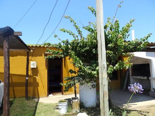 Metamorfosis in Aguas Dulces