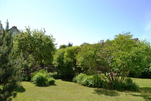 Surrounding environment, Aasa Apartments in Uus Maailm
