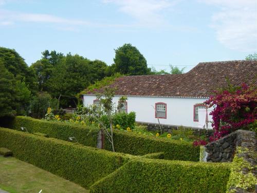 Quinta Do Martelo - image 11