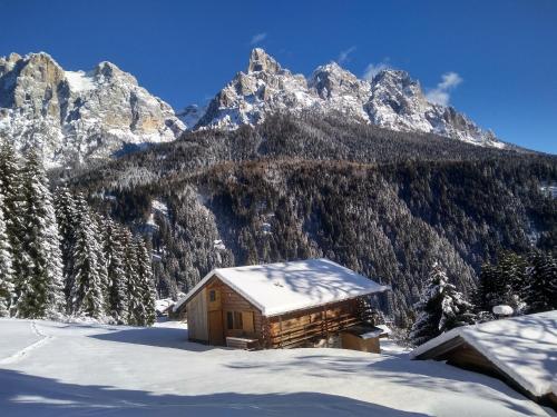 The "small" Alpine Chalet & Dolomites Retreat