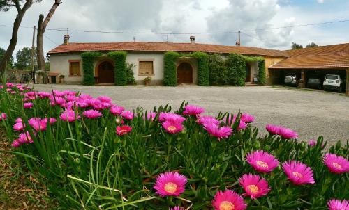 Agriturismo Monte Alzato gîte à louer Nunziatella