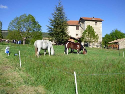 Le Relais des Baronnies