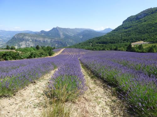 Le Relais des Baronnies