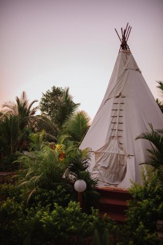 

Wigwam
