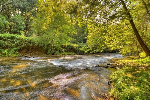 Creektopia - image 7