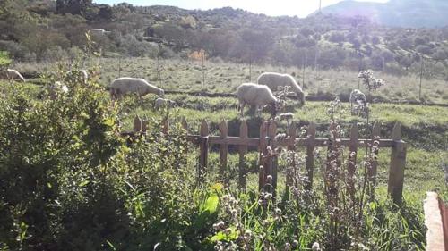 Agriturismo Gentile
