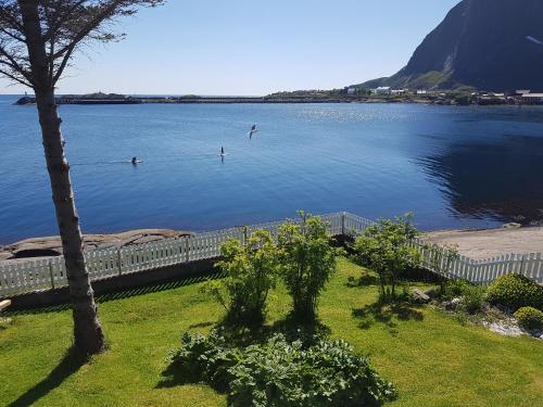 Knut Ellingsen Knut Ellingsen