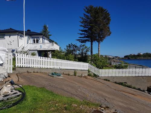 Knut Ellingsen Knut Ellingsen