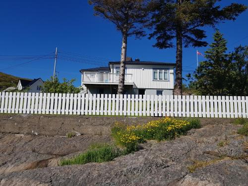 Knut Ellingsen Knut Ellingsen