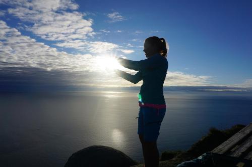 Knut Ellingsen Knut Ellingsen