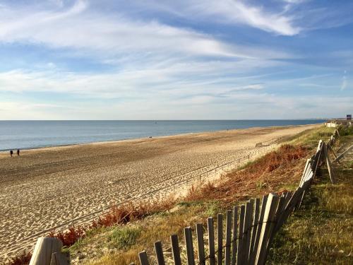 Green Resort - image 2