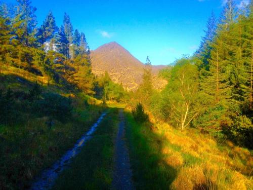 Rugged Glen Accommodation