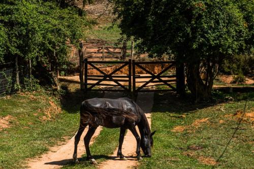 Sitio três porteiras