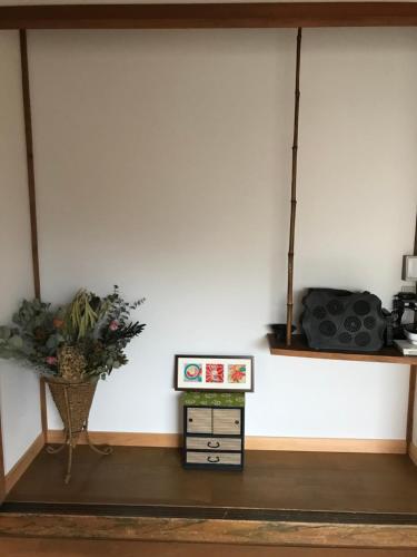 蒼 aoi, Shingū (foto 7)