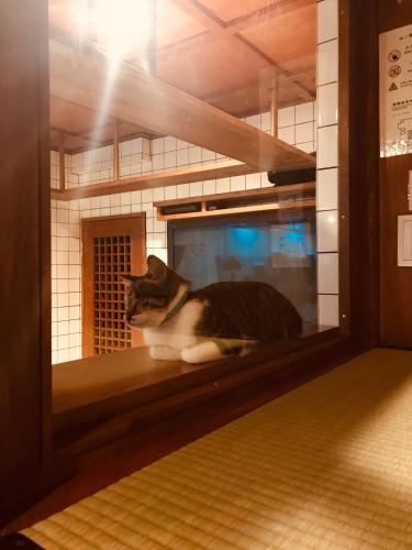 Cat Spa & Cat Ryokan by Neco Republic Osaka - image 3