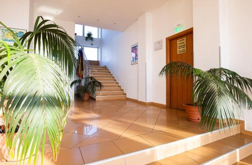 Hotel Dana - image 7