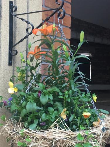 Jell Green Hall, Over Peover, Cheshire