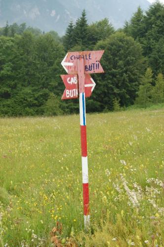 Complexul Turistic Cheile Butii - image 6