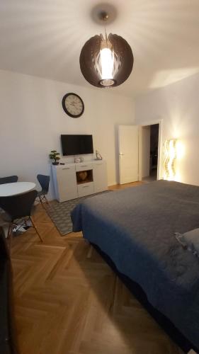 Angelika Apartments, Vídeň (fotografie 10)