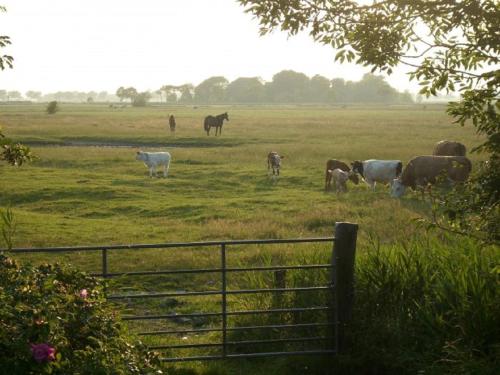 Margarethenhof in Tetenbüll