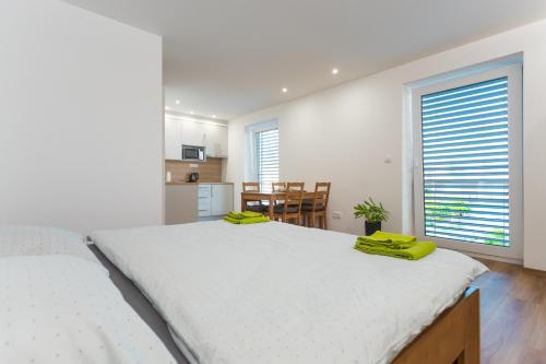 ANICO apartmány - image 11