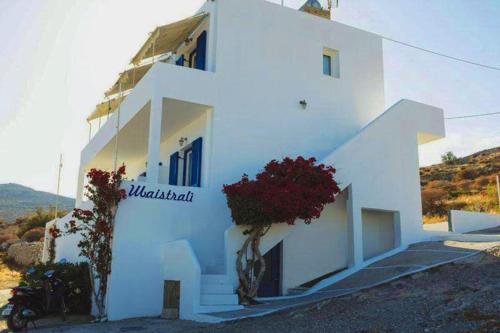 Maistrali 5