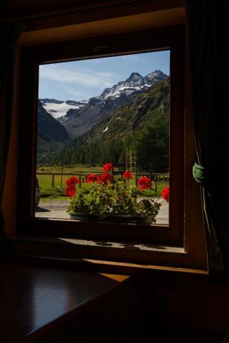 入口, 阿爾伯戈格蘭帕拉迪索酒店 (Albergo Gran Paradiso) in 瓦爾薩瓦倫凱