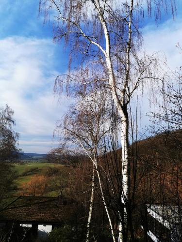 Panorama Garten-Apartment in Marburg