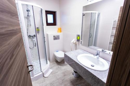 Pensiunea Bradului Room Type - Standard Twin Room