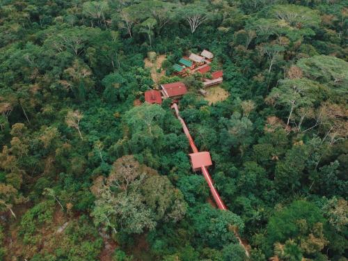 CABAÑA Amazon LODGE