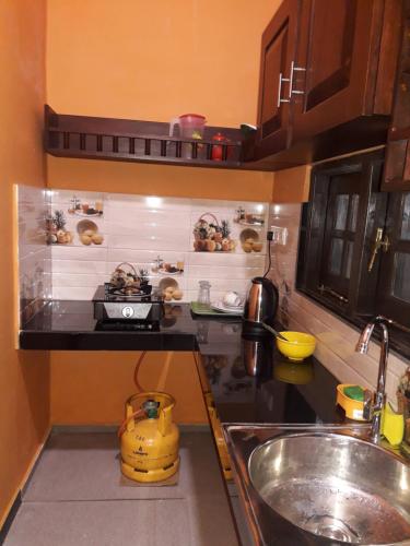 One-Bedroom House image 10