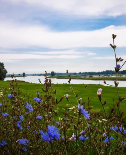 Deventer Heritage en Boutique B&B museumhuis Huize "De Worp"