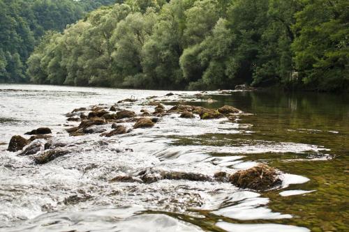 Robinson camp Kupa - Juratovićki brig