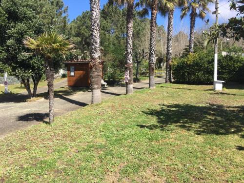 Camping & Glamping Muiñeira - image 4
