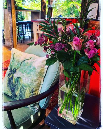 Bar/lounge, Masinga in Everton