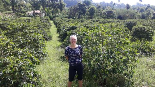 Mai Kilimanjaro Home Stay