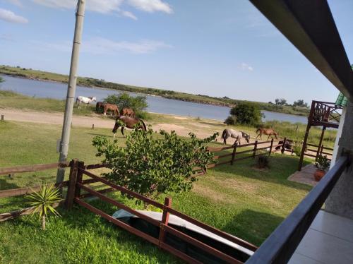 Hostal Posada Del Hum photo 5