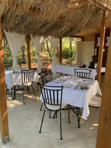 Agriturismo Messer Gesualdo - image 7