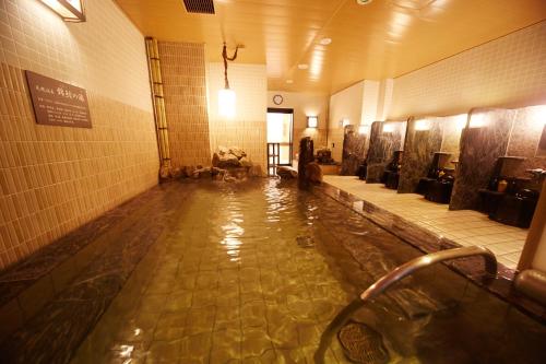 Hot spring bath, Dormy Inn Premium Nagoya Sakae Natural Hot Spring in Nagoya