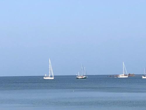 แจนสัน บังกะโล 2 - เกาะพยาม (ระนอง) แจนสัน บังกะโล 2 - เกาะพยาม (ระนอง)