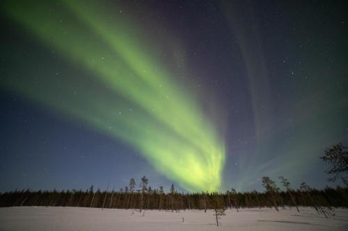 Northern Lights Village Levi - image 14