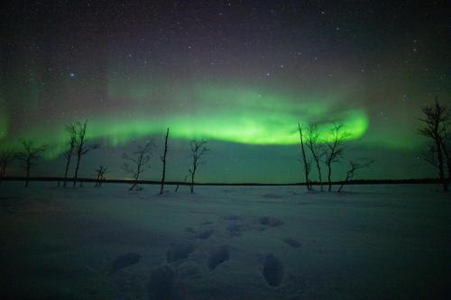 Northern Lights Village Levi - image 8